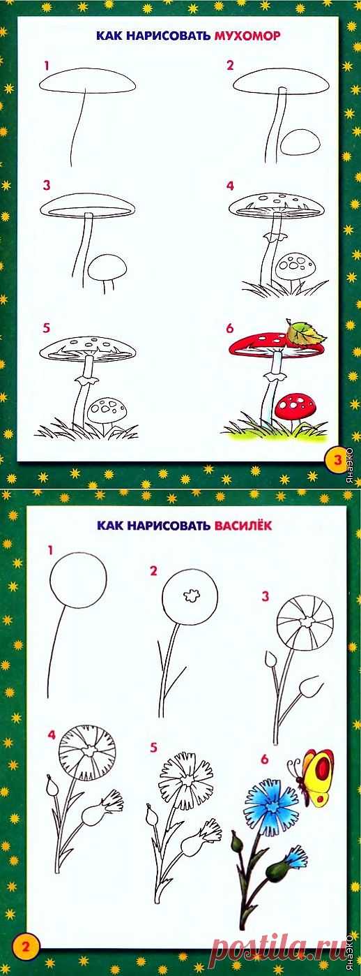 Книга Школа рисования для малышей.