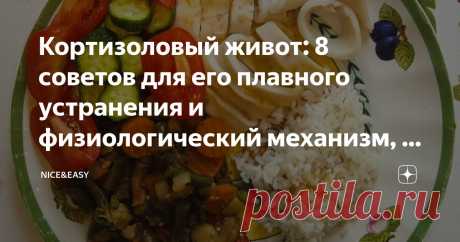 Кортизоловый живот: 8 советов для его плавного устранения и физиологический механизм, с помощью которого стресс заставляет ваш живот расти Статья автора «Nice&Easy» в Дзене ✍: Всем привет! Почему выступающий живот часто называют «комком нервов»? Что ж, доля правды в этом есть – хотя «доля» здесь, как водится, ключевое слово.