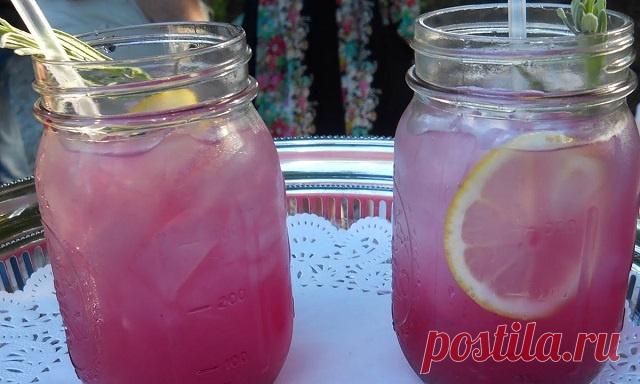 Как приготовить лавандовый лимонад, чтобы избавиться от головной боли и беспокойства! — Полезные советы