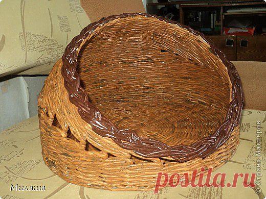 МК. Кошкин дом. Из газет..