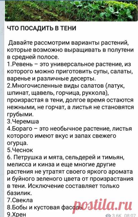 (452) Pinterest