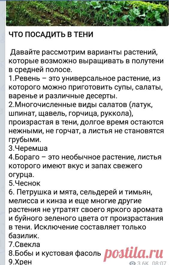 (452) Pinterest