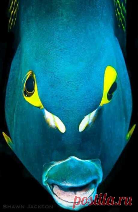 (307) Pinterest