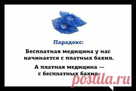 Новости