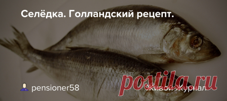 Селёдка. Голландский рецепт. Засолить селёдку было решено так, как делают малосольную знаменитую закуску в этом самом ихнем Роттердаме. Хотя едят ее в Амстердаме. И ваще … мы эти Нидерланды больше знаем как Голландию. Как нам Петр Алексеевич завещал, так и называем. По этому рецепту получается готовая закуска. Дополнить её…