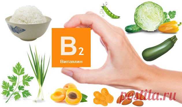 Тревожные сигналы организма, которые нельзя игнорировать / Будьте здоровы