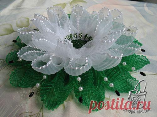 Красивый цветок из гофрированной ленты и мастер класс лепестка