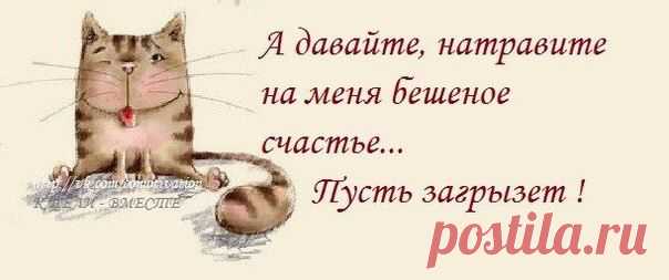 Новости