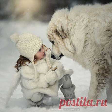Красивая фотка.))