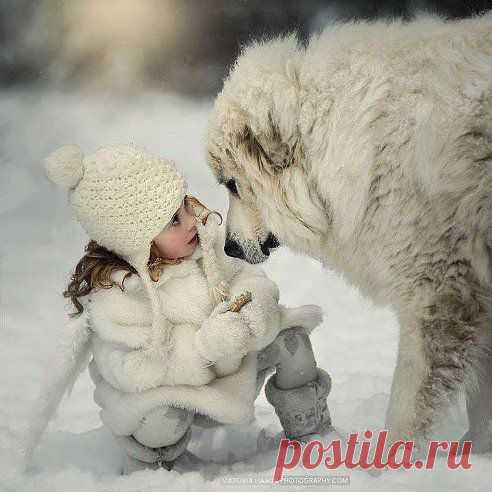 Красивая фотка.))