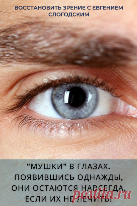 Мушки в глазах что это такое Зуд сухость глаз Деструкция стекловидного тела Как избавиться от плавающих мушек Нарушение зрения Вернуть зрение Помутнения перед глазами причины и лечение Средства для улучшения зрения Упражнения для глаз Мушки в глазах исчезают навсегда Плавающие помутнения точки паутинки перед глазами Болезни глаз Возрастное изменение Заболевания сетчатки Устают глаза Боль Плохое зрение Восстановить зрение с Евгением Слогодским без операции Гимнастика тренажёр для глаз Миодезопсия