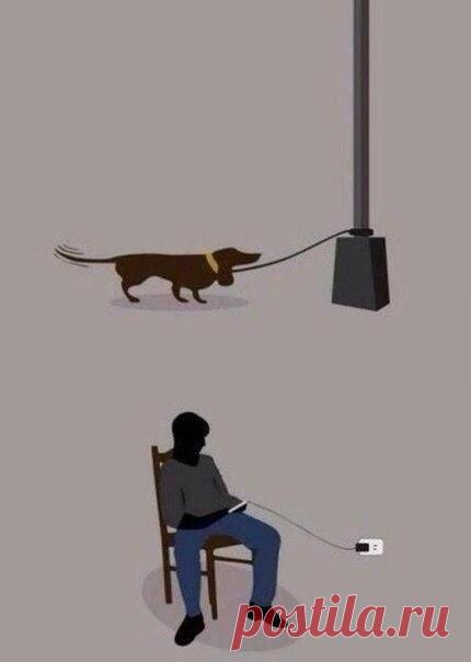 "На привязи" бывают не только собаки.