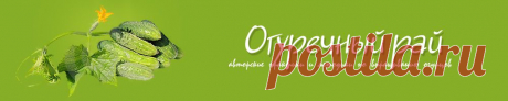 Выращивание огурцов в теплице. Посадка огурцов. Огурцы в теплице
