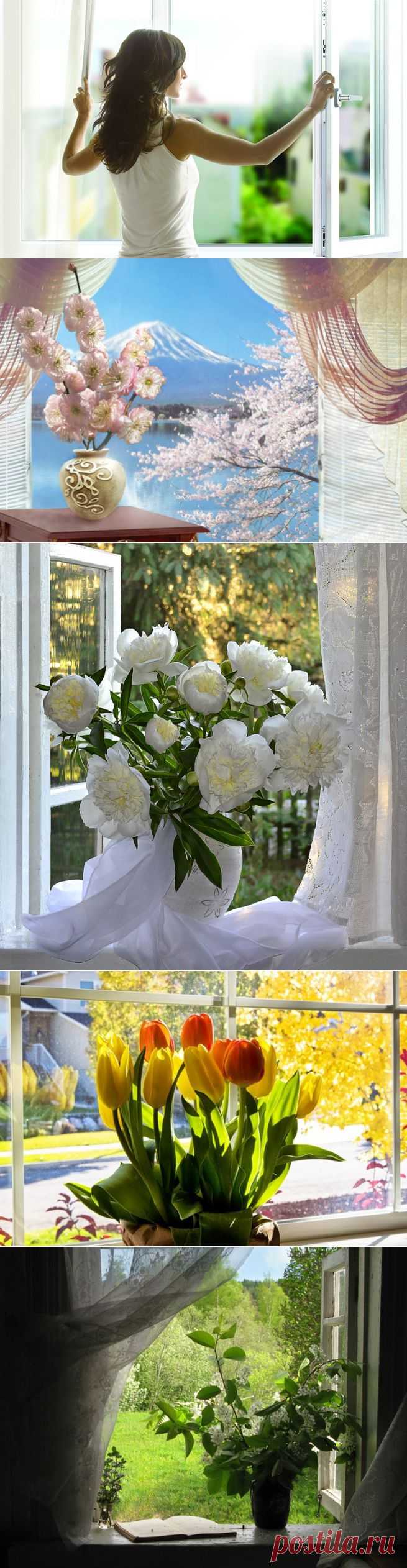 Откройте окна! В дом впустите Утро,
Как лучшее лекарство от хандры!
И вышвырните всё, что было смутно,
Что в Сердце ночью плакало навзрыд ...
Лекарство - это Солнце в поднебесье!
И кружево пушистых облаков,
Замешанных на соловьиной песне,
На вьюге из душистых лепестков!
Смешайте всё с весенним звонким ветром!
С черёмухой дурманяще - хмельной ...
Налейте в чашу Неба с ясным светом,