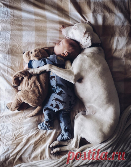 Elizabeth в Instagram: «Puppy love ❤️ . FUJI XT1»