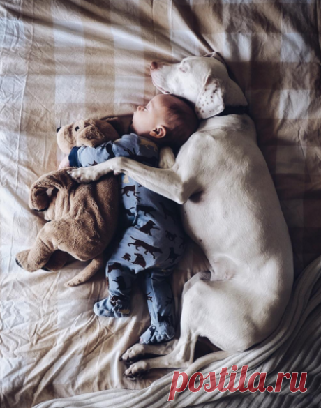 Elizabeth в Instagram: «Puppy love ❤️ . FUJI XT1»