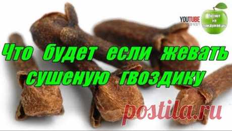 Что будет если жевать сушеную гвоздику. Проще не Придумаешь!