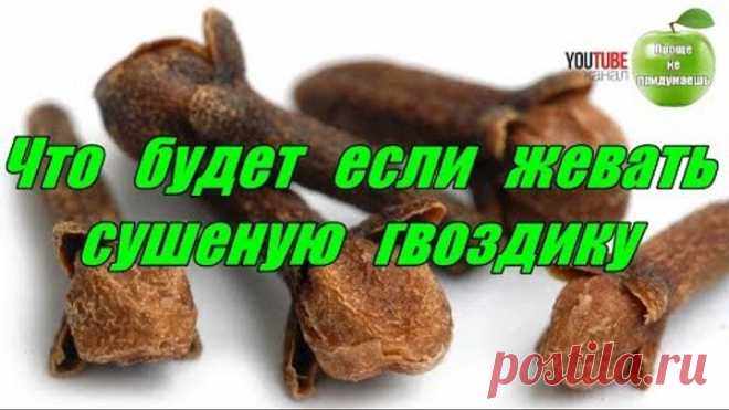 Что будет если жевать сушеную гвоздику. Проще не Придумаешь!