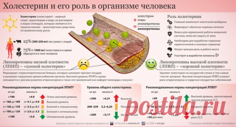 Красота & здоровье