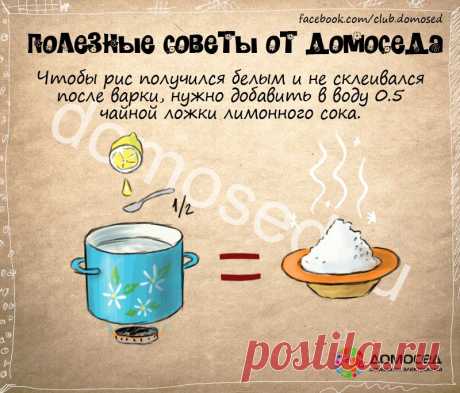 Полезные советы от Домоседа | ДОМАШНИЙ ОЧАГ