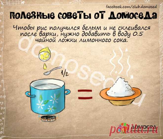 Полезные советы от Домоседа | ДОМАШНИЙ ОЧАГ