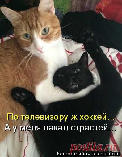 Юмористичная солянка...