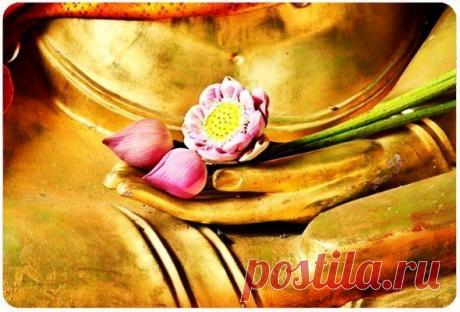 1. Чтобы губы стали соблазнительными, говорите добрые слова.
2. Чтобы глаза блестели, ищите в людях добро.
3. Чтобы не толстеть, поделитесь едой с голодными.
4. Чтобы волосы были густыми, разрешите младенцу их теребить.
5. Чтобы осанка была гордой, несите в себе ощущение, что вам никогда не придется бродить в одиночестве.
6. Если вам понадобится рука помощи, она всегда при вас – ваша собственная.
7. Когда станете старше, вы поймете, что у вас две руки – одна, чтобы помогать себе