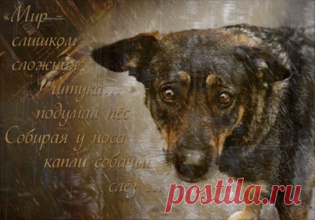 Одноклассники