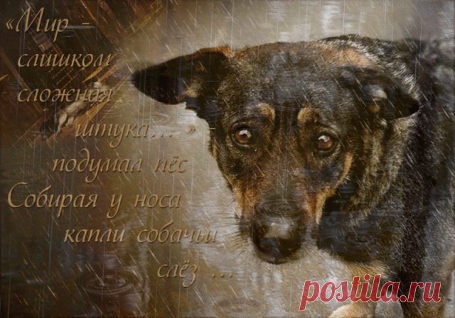 Одноклассники