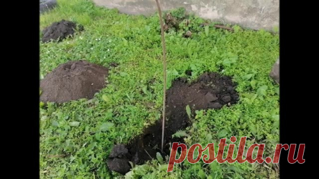 (20) Agro-farmers Україна (сільське господарство)