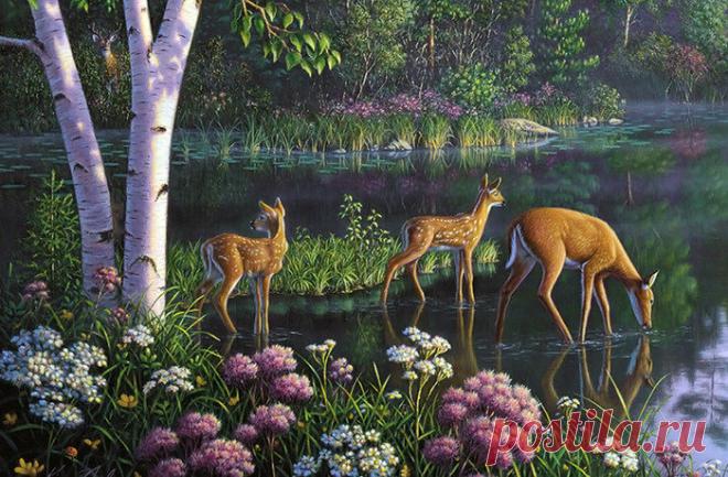 Схема вышивки «Водопой» - Вышивка крестом