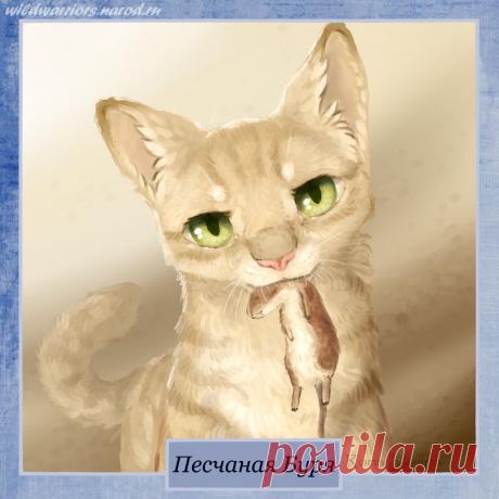 Sandstorm. Warriors by Romashik-arts on DeviantArt