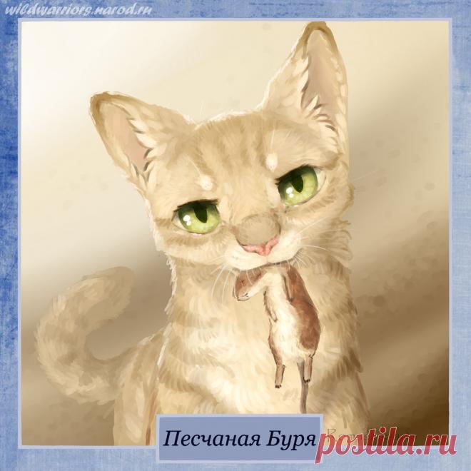 Sandstorm. Warriors by Romashik-arts on DeviantArt