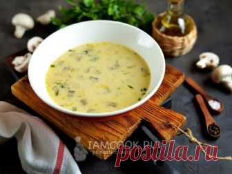 Суп из кабачков с плавленным сыром — рецепт с фото Невероятно вкусный супчик из простых и доступных продуктов для всей семьи.