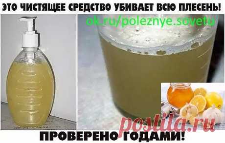 ЭТО ЧИСТЯЩЕЕ СРЕДСТВО УБИВАЕТ ВСЮ ПЛЕСЕНЬ! ПРОВЕРЕНО ГОДАМИ!

Всем советую! У нас старый дом и раньше постоянно заводилась плесень. Покупали дорогую химию, убирало, но ненадолго. По совету соседки сделали это средство и вот уже 4-й год плесени не видно! Держите рецепт:
• 2 ч. л. эфирного масла чайного дерева (для дезинфекции);
• 2 чашки воды.
1ч.л. спирта для растворения масла (на дно)
Залейте в пульверизатор ингредиенты, встряхните и брызгайте на проблемные зоны.

Срок хр...