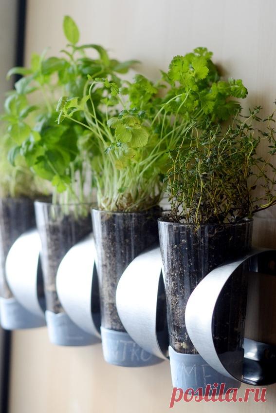 Как: крытый Херб сад ИКЕА рубить » Curbly | Сделай сам дизайн и декор