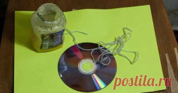 Она избавила семью от мучений, намазав диск мёдом. Такое необходимо проделать каждому! Лето не приходит одно. Оно приводит за собой солнечные дни, сочные фрукты, долгожданный отпуск и… огромное количество насекомых, которые всячески досаждают нам во время этих сладостных дней.

 


Ловушка для мух

6 ПРОСТЫХ ИДЕЙ

 	Гвоздика и лимон
Когда мухи и комары атакуют, времени на ра