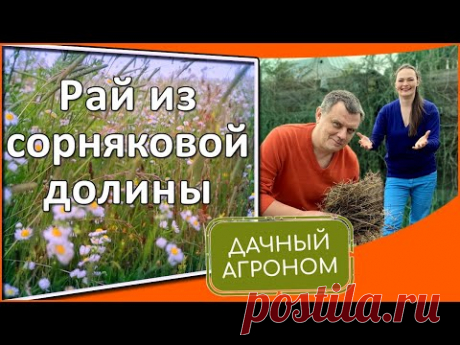Как освоить запущенный участок Огород на целине