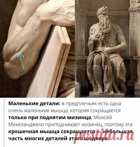 ооо