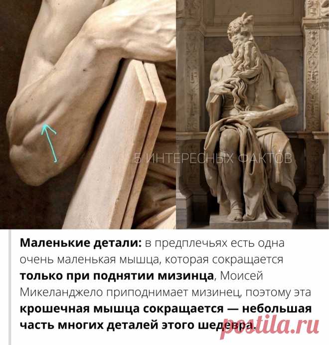 ооо