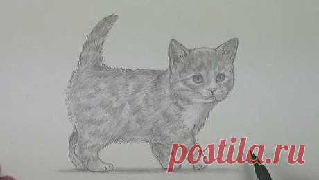 Рисуем пушистого котенка поэтапно