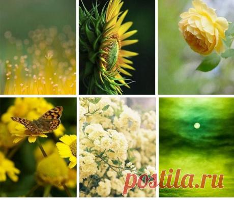 Нарядился август жаркий
 Многоплодием садов.
 Щедро раздает подарки,
 Радует игрой цветов.
 В предвкушении прохлады
 Озорного сентября.
 Преисполнена бравады
 Утомленная земля.
 Жаждет ливней кособоких,
 Темных, ветреных ночей
 И сентябрьских недалеких,
 Угасающих лучей.
 Маскарада красок дивных
 От бордо до янтаря.
 Клиньев в небе журавлиных,
 Покидающих края.

 Екатерина Балецкая