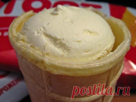 * * * * * * * * * * * *