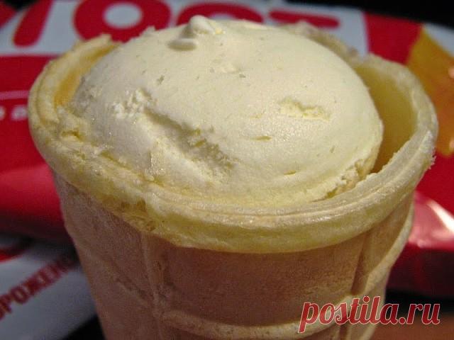 * * * * * * * * * * * *