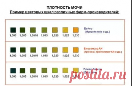 Диагностика заболеваний почек Биохимический анализ крови – устанавливает повышение концентрации мочевины (нормальная концентрация до 15 ммоль/л, или 90 мг/ 100 мл) и креатинина крови (нормальная концентрация 15,25—76,25 мкмоль/л или 0,2—1,0 мг/100 мл). В некоторых случая проводят исследования по определению антител антистрептолизина О (ASLO) – указывающих на бактериальную (стрептококковую) природу гломерулонефрита. В...