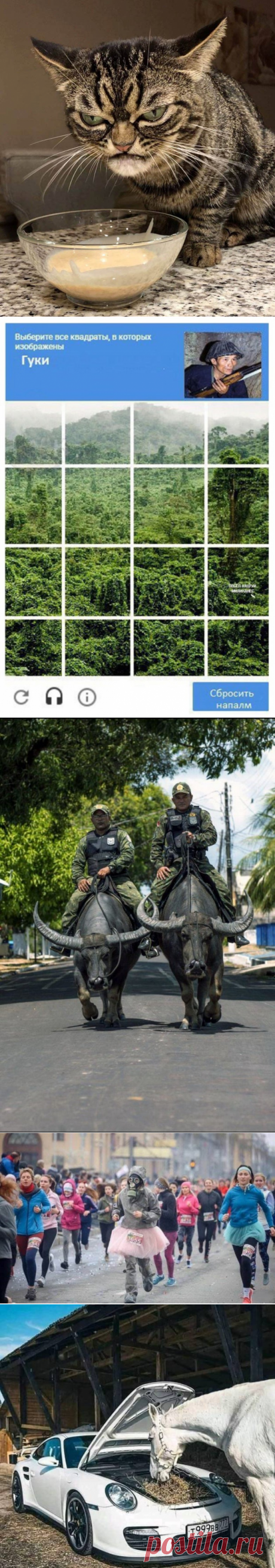 Подборка прикольных картинок и фотографий-249