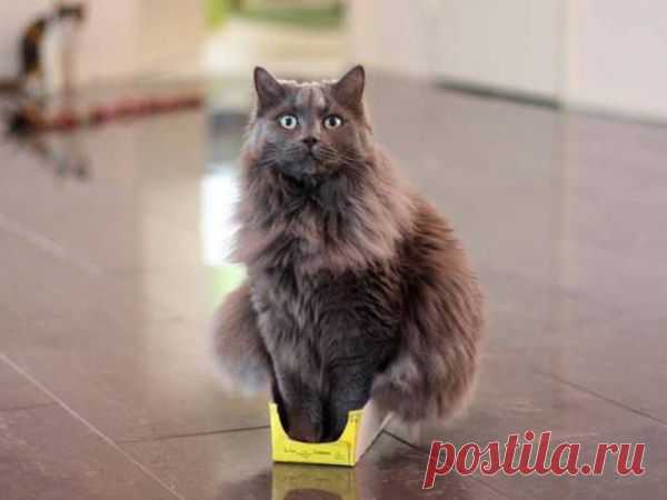 ВМЕСТИЛАСЬ