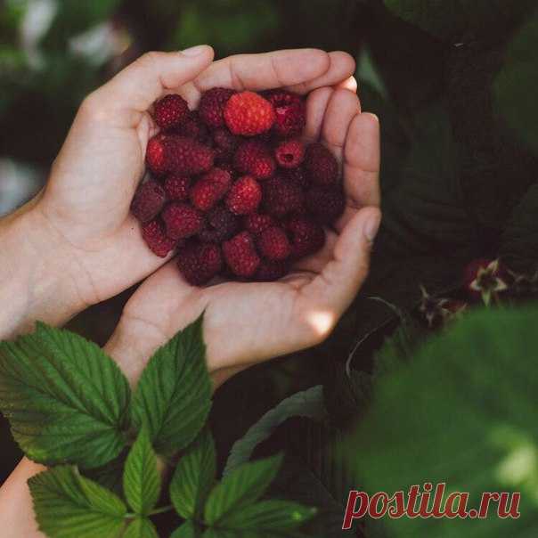 Как суждено, так все и будет.💫