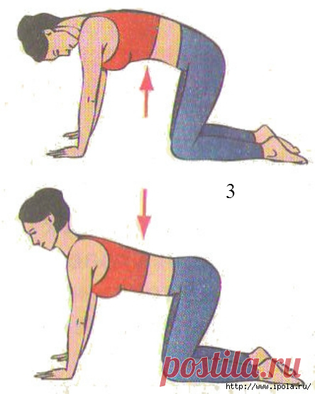 Упражнения для позвоночника на растягивание.