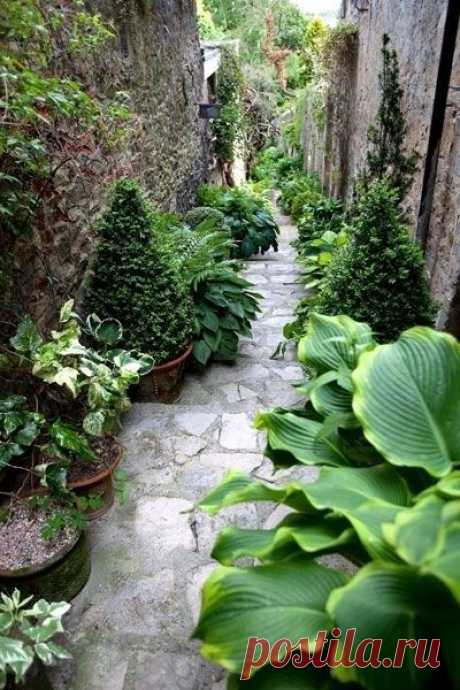 (4) Pinterest